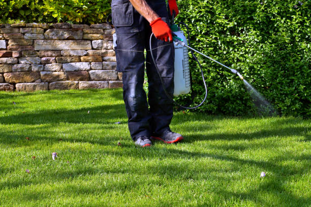 Emergency Pest Control in Lake Bryan, TX